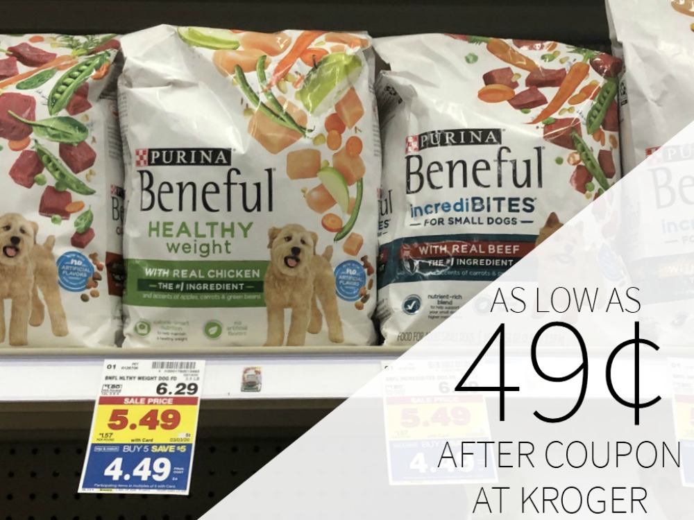 blue wilderness dog food
