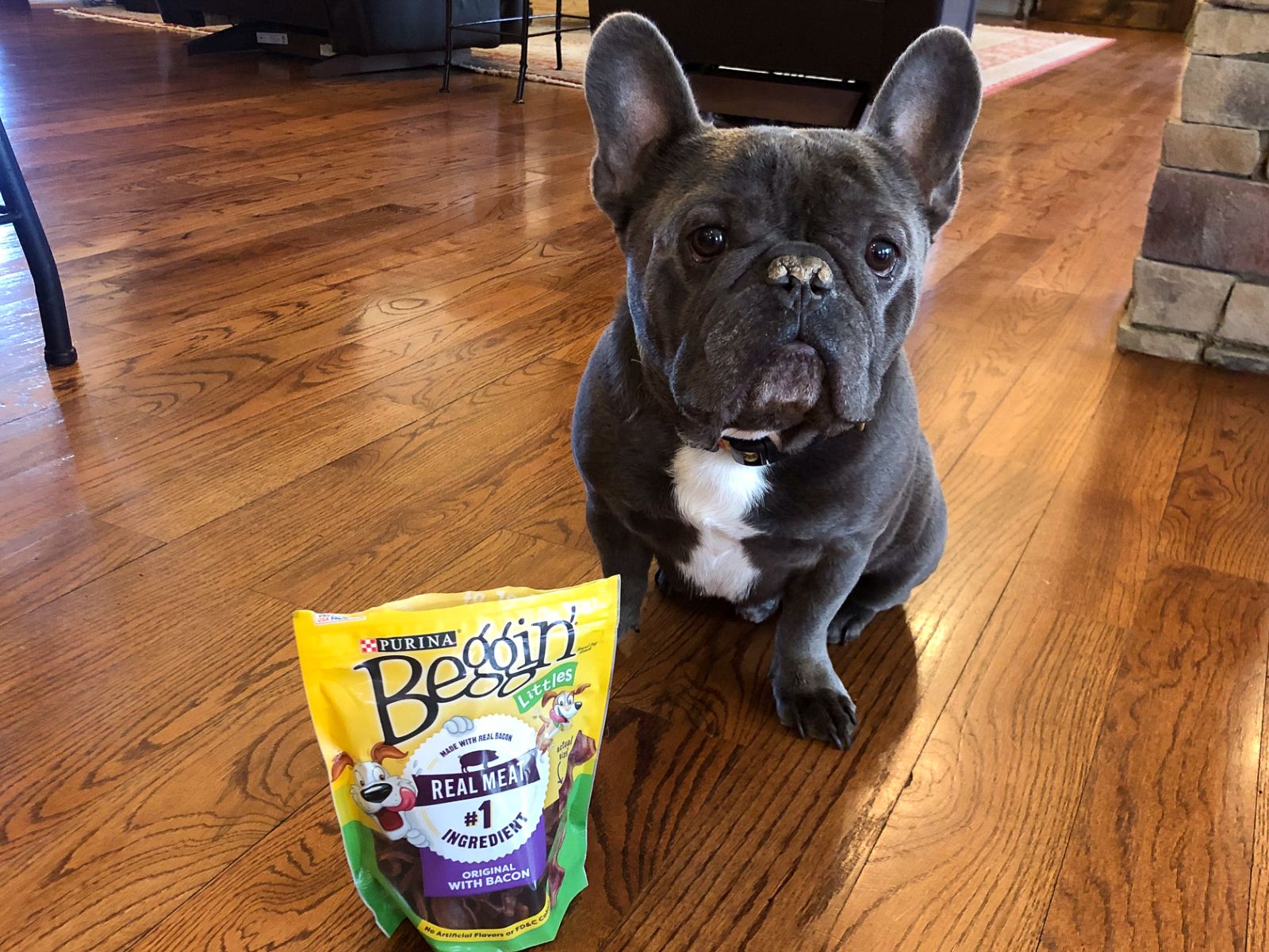 Purina Beggin’ Dog Snack Just $2.15 Per Bag At Publix