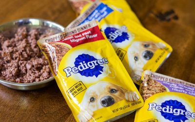 Pedigree Wet Dog Food Pouches Are Just 79¢ At Kroger