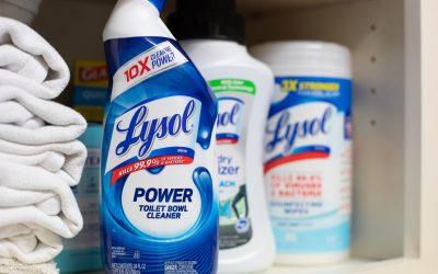 Lysol Toilet Bowl Cleaner As Low As $1.99 At Kroger