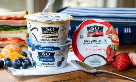 So Delicious Coconut Milk Yogurt Alternative Just 20¢ At Kroger