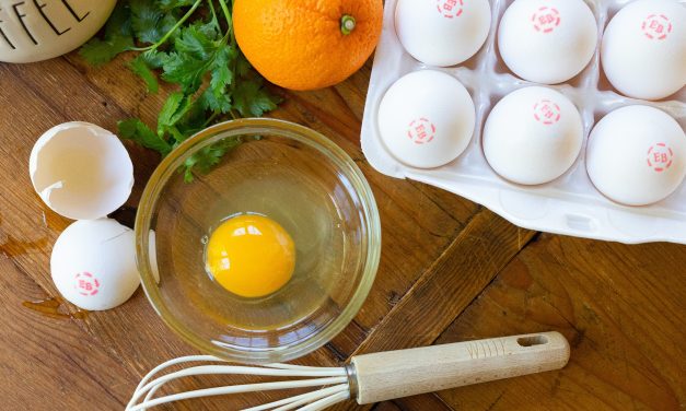Eggland’s Best Eggs 24-Count As Low As $2.99 At Kroger
