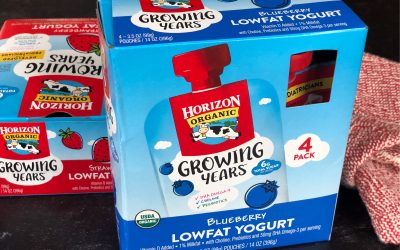 Horizon Organic Growing Years Yogurt Pouch 4-Pack As Low As $3.49 At Kroger