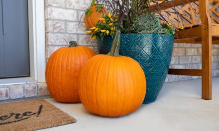 Carving Pumpkins Just $3.99 At Kroger