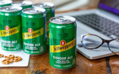 Schweppes Ginger Ale 6-Pack Mini Cans Just $1.25 At Kroger With New Ibotta