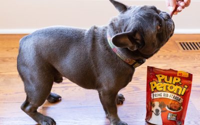 Get The Bags Of Pup-Peroni Dog Treats For Just $1 At Kroger (Regular Price $3.99)