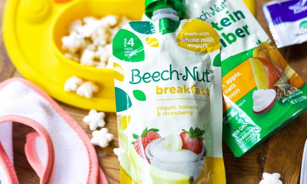 Beech-Nut Baby Food Pouches As Low As 58¢ At Kroger