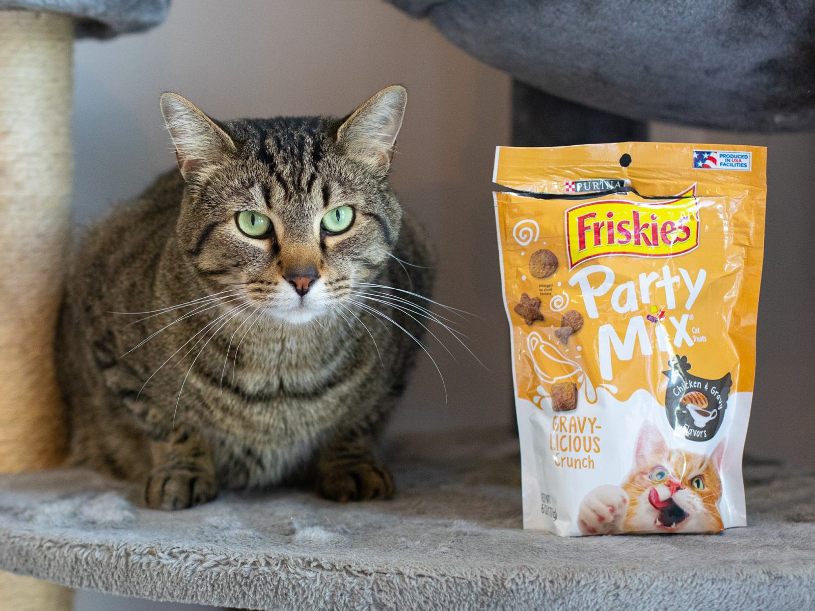 Get The Bags Of Friskies Party Mix Cat Treats For Just $2.49 At Kroger (Regular Price $4.49)