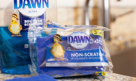 Ditch The Stinky Sponges And Get Dawn Sponges Only $1.79 Per Pack At Kroger