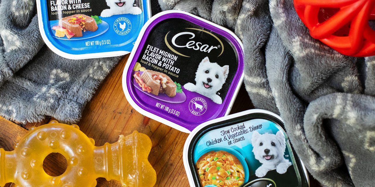 Get Cesar Dog Food Entrees As Low As 67¢ At Kroger (Regular Price $1.39)