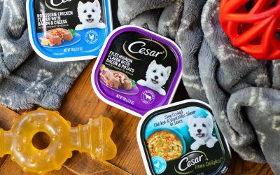 Get Cesar Dog Food Entrees As Low As 89¢ At Kroger (Regular Price $1.39)