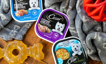 Get Cesar Dog Food Entrees As Low As 67¢ At Kroger (Regular Price $1.39)