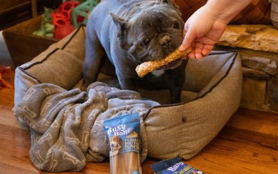 Get Purina Busy Dog Bones For $1.25 At Kroger