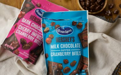 New Ocean Spray Chocolate Dipped Cranberry Bites Are Just $2.49 Per Bag At Kroger