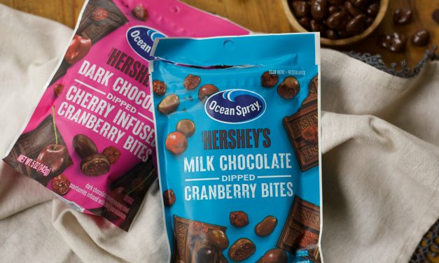 New Ocean Spray Chocolate Dipped Cranberry Bites Are Just $2.49 Per Bag At Kroger