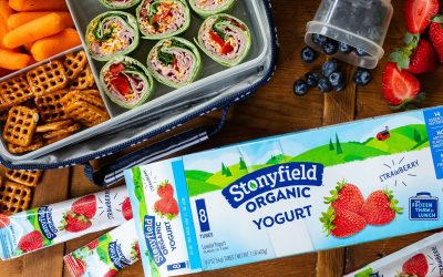 Stonyfield Yogurt Just $2.99 Per Pack At Kroger (Regular Price $5.49)