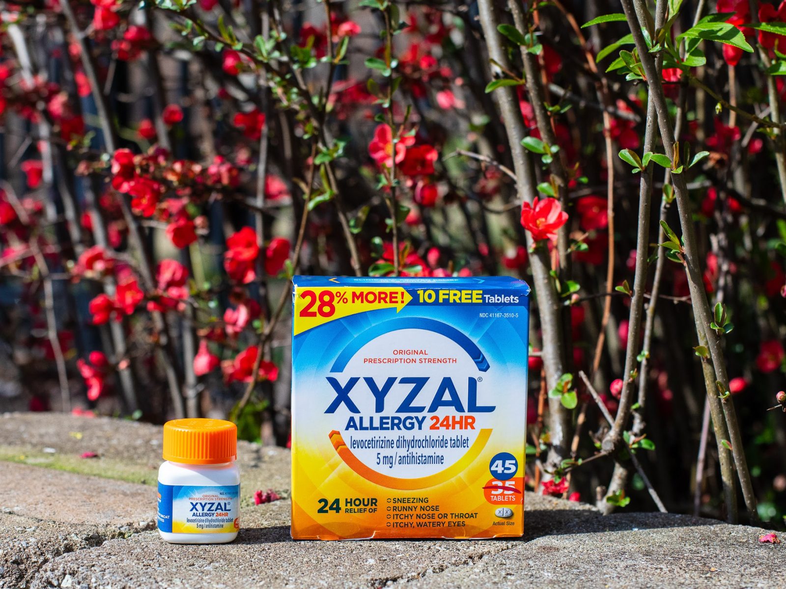 Xyzal Allergy Coupons For Sale – Big Savings On Allergy Meds At Kroger