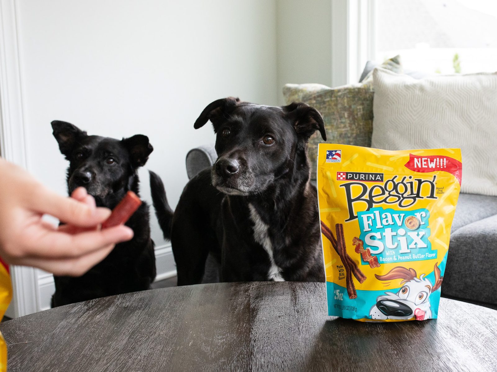 Purina Beggin’ Dog Treats As Low As 90¢ At Kroger