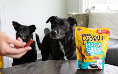 Purina Beggin’ Dog Treats As Low As 90¢ At Kroger