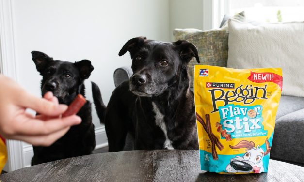 Purina Beggin’ Dog Treats As Low As 90¢ At Kroger