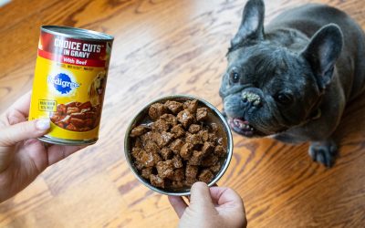 Get The Cans Of Pedigree Wet Dog Food As Low As $1.45 At Kroger