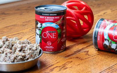 Get The Cans Of Purina One Wet Dog Food For Just $1.46 At Kroger