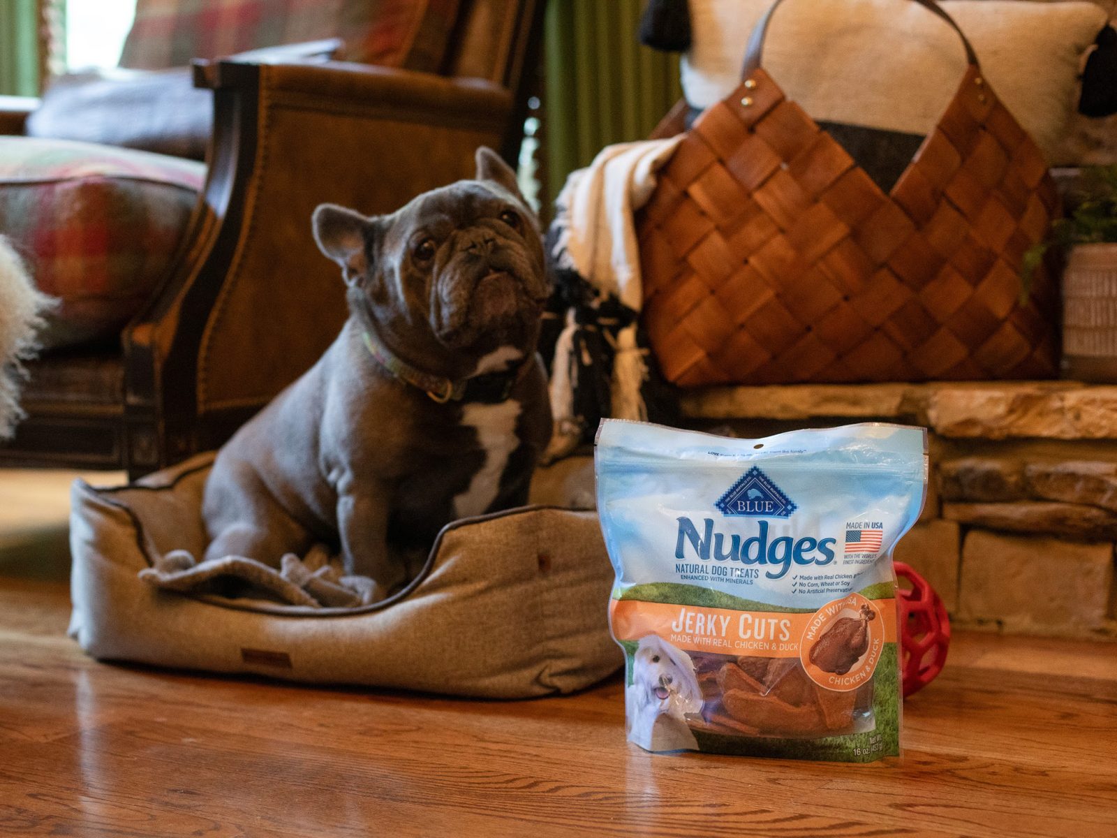 Blue Buffalo Nudges Dog Treats As Low As $5 At Kroger (Regular Price $13.99)