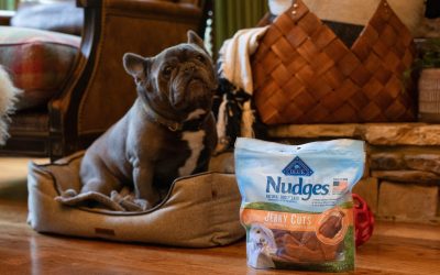 Blue Buffalo Nudges Dog Treats As Low As $5 At Kroger (Regular Price $13.99)