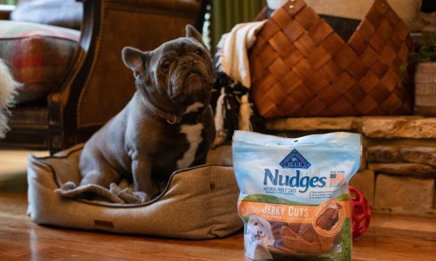 Blue Buffalo Nudges Dog Treats As Low As $5 At Kroger (Regular Price $13.99)