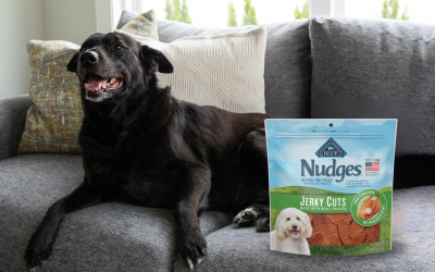 Blue Buffalo Nudges Dog Treats As Low As $4.50 At Kroger (Regular Price $12.99)