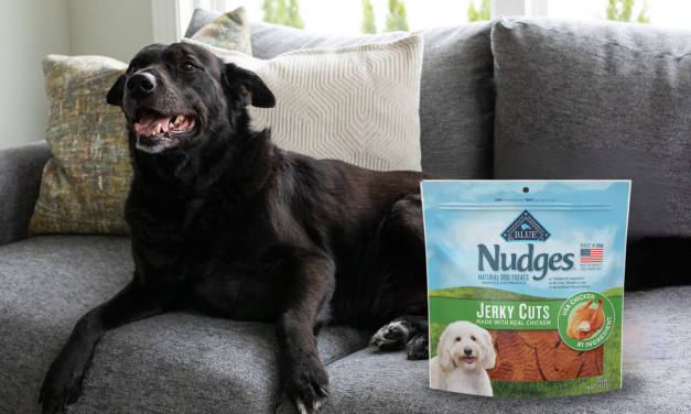 Blue Buffalo Nudges Dog Treats As Low As $4.50 At Kroger (Regular Price $12.99)