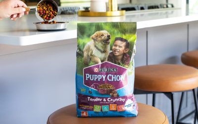 Get Purina Puppy Chow Dry Dog Food As Low As $3.49 At Kroger – Plus Cheap Kitten Chow