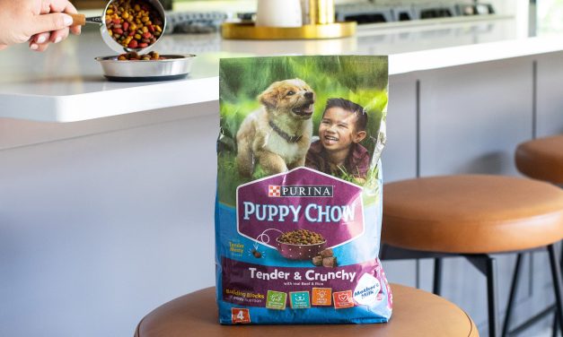 Get Purina Puppy Chow Dry Dog Food As Low As $3.49 At Kroger – Plus Cheap Kitten Chow