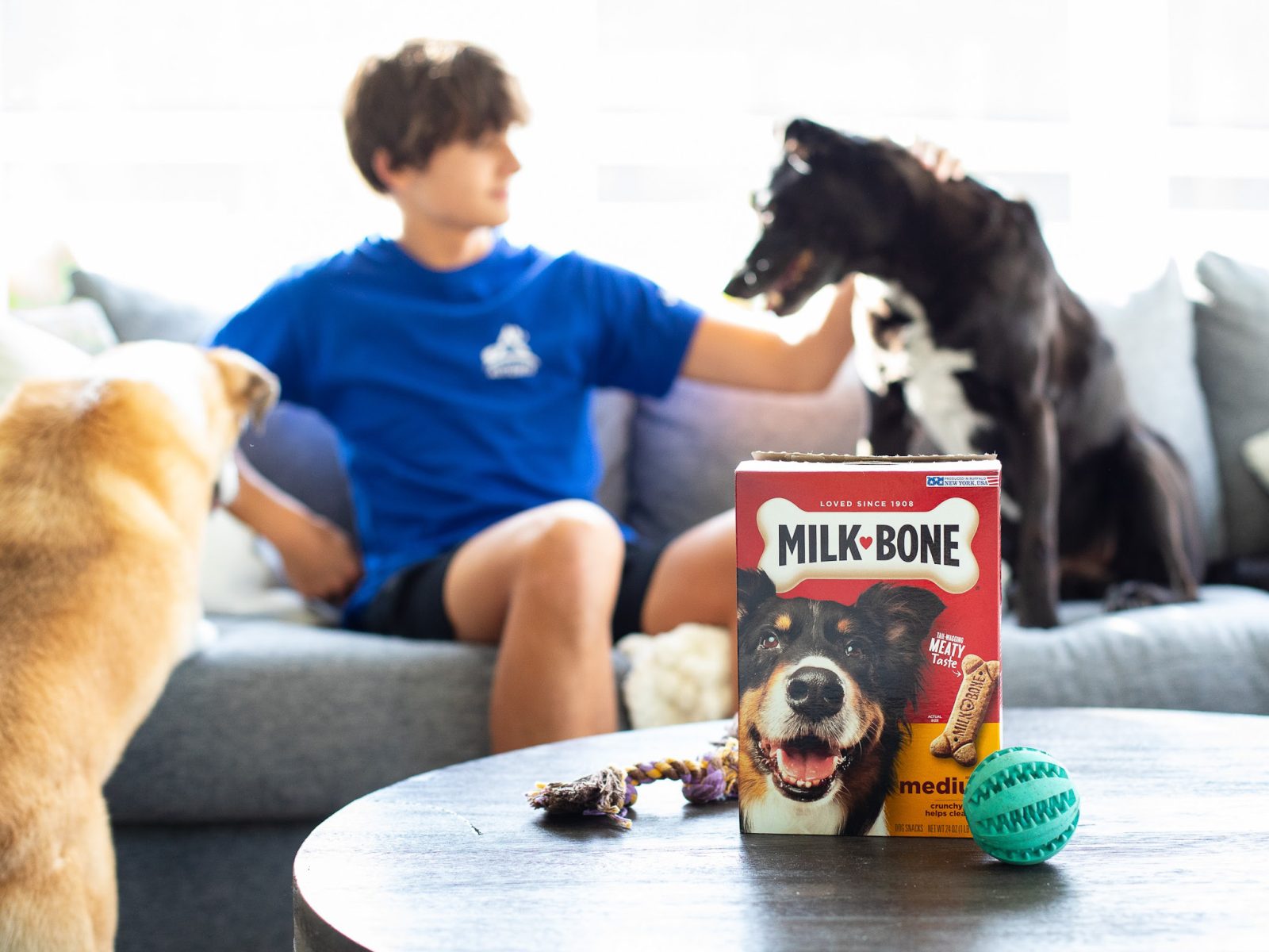 Milk-Bone Dog Treats As Low As $1 At Kroger