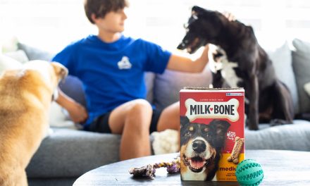 Milk-Bone Dog Treats As Low As $1 At Kroger