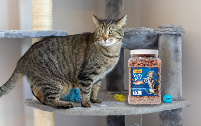 Get A Big Container Of Friskies Party Mix Cat Treats For Just $4.49 At Kroger (Regular Price $10.49)
