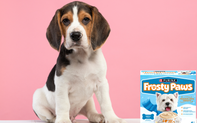 Frosty Paws Frozen Dog Treats 4-Packs Just $2.49 At Kroger