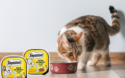 Get Temptations Wet Cat Food For Just 54¢ Per Container At Kroger