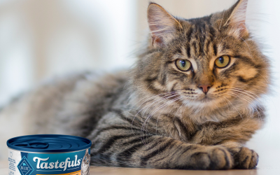 Blue Buffalo Tastefuls Wet Cat Food Just $1.04 Per Can At Kroger