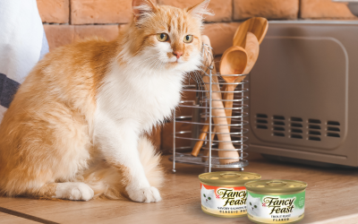 Fancy Feast Wet Cat Food Just 75¢ Per Can At Kroger