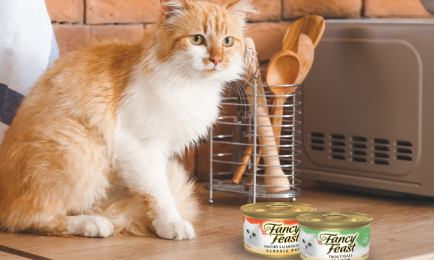 Fancy Feast Wet Cat Food Just 65¢ Per Can At Kroger