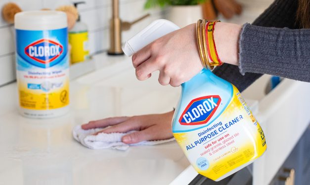 Clorox Clean Up Spray As Low As $2.99 At Kroger