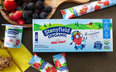 Stonyfield Organic Kid Yogurt Tubes Just $3.25 Per Pack At Kroger (Regular Price $5.49)