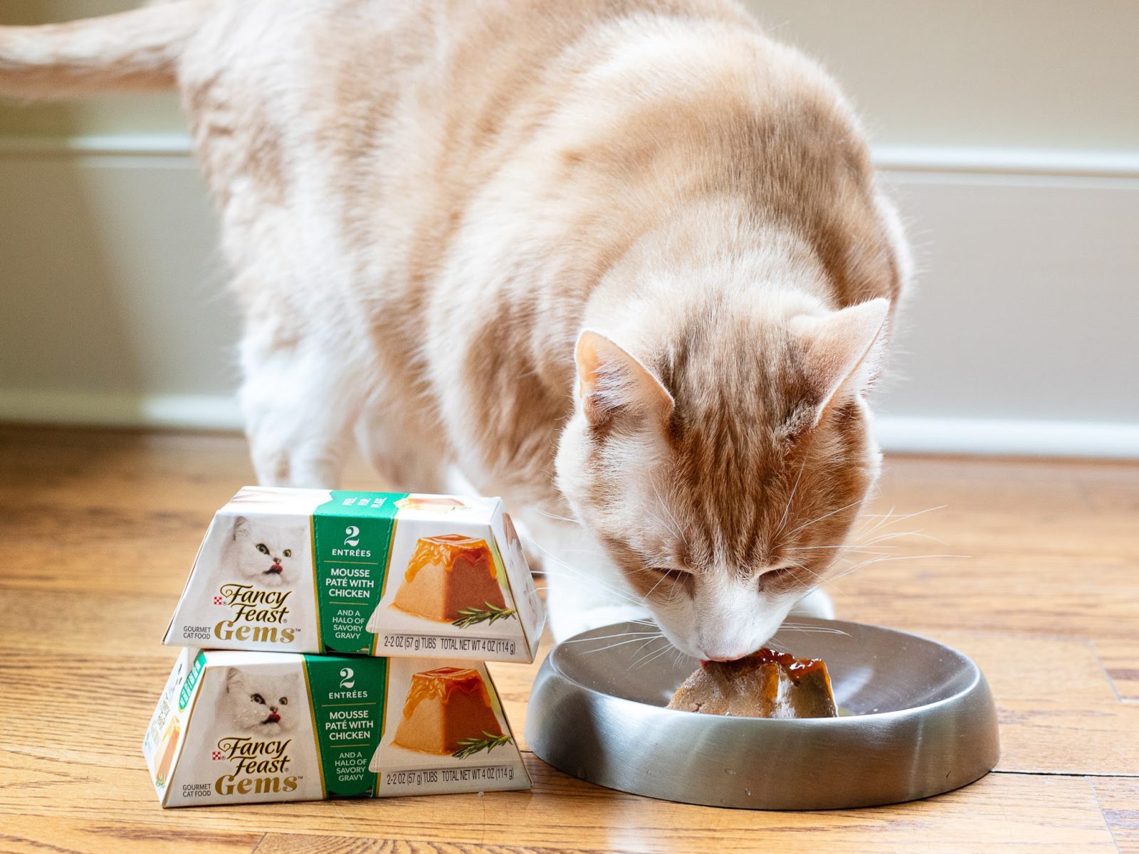 Fancy Feast Gems Wet Cat Food Packs Just $1 At Kroger
