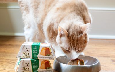 Fancy Feast Gems Wet Cat Food Packs Just $1 At Kroger