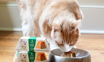 Fancy Feast Gems Wet Cat Food Packs Just $1 At Kroger