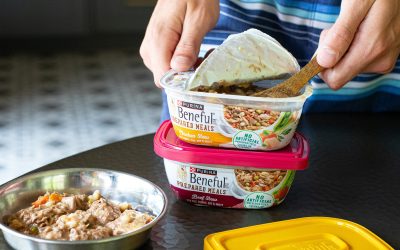 Get Purina Beneful Wet Dog Food For $1.40 At Kroger