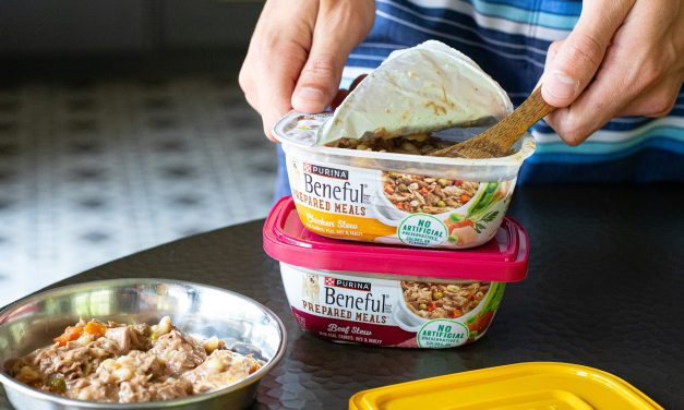 Get Purina Beneful Wet Dog Food For $1.40 At Kroger