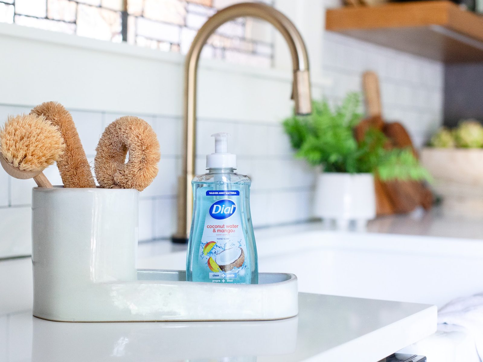 Dial Hand Soap As Low As $1 At Kroger