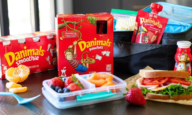 Dannon Danimals Pouches 4-Pack Just $3.84 At Kroger
